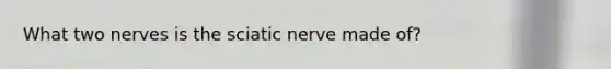 What two nerves is the sciatic nerve made of?