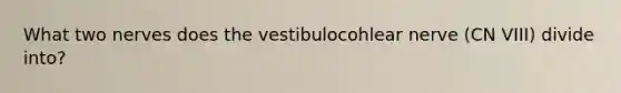 What two nerves does the vestibulocohlear nerve (CN VIII) divide into?