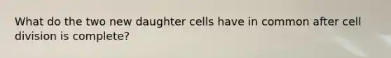 What do the two new daughter cells have in common after cell division is complete?