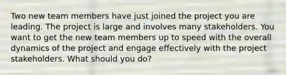 Two new team members have just joined the project you are leading. The project is large and involves many stakeholders. You want to get the new team members up to speed with the overall dynamics of the project and engage effectively with the project stakeholders. What should you do?