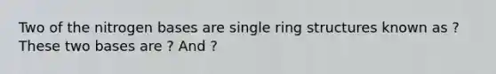 Two of the nitrogen bases are single ring structures known as ? These two bases are ? And ?