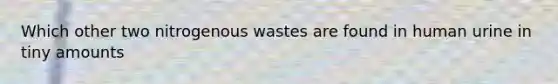 Which other two nitrogenous wastes are found in human urine in tiny amounts