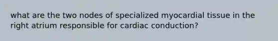 what are the two nodes of specialized myocardial tissue in the right atrium responsible for cardiac conduction?