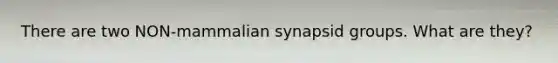 There are two NON-mammalian synapsid groups. What are they?