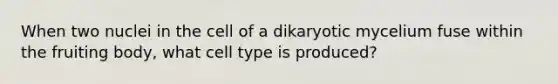 When two nuclei in the cell of a dikaryotic mycelium fuse within the fruiting body, what cell type is produced?