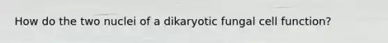 How do the two nuclei of a dikaryotic fungal cell function?