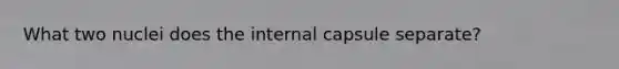 What two nuclei does the internal capsule separate?