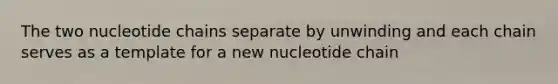 The two nucleotide chains separate by unwinding and each chain serves as a template for a new nucleotide chain