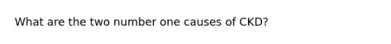 What are the two number one causes of CKD?