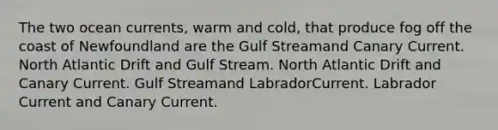 The two ocean currents, warm and cold, that produce fog off the coast of Newfoundland are the​ ​Gulf Streamand Canary Current. ​North Atlantic Drift and Gulf Stream. ​North Atlantic Drift and Canary Current. ​Gulf Streamand LabradorCurrent. ​Labrador Current and Canary Current.