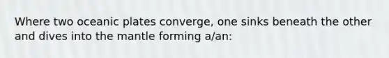 Where two oceanic plates converge, one sinks beneath the other and dives into the mantle forming a/an: