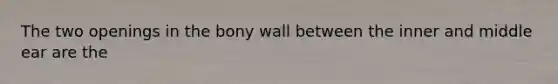 The two openings in the bony wall between the inner and middle ear are the