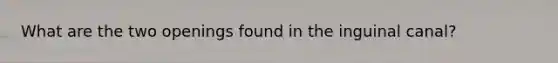 What are the two openings found in the inguinal canal?