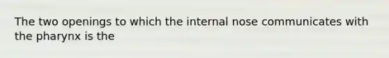 The two openings to which the internal nose communicates with the pharynx is the