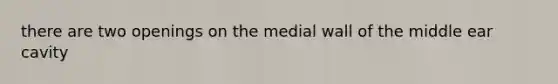 there are two openings on the medial wall of the middle ear cavity