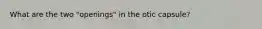 What are the two "openings" in the otic capsule?