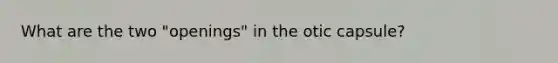 What are the two "openings" in the otic capsule?