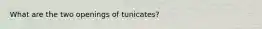 What are the two openings of tunicates?