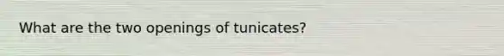 What are the two openings of tunicates?