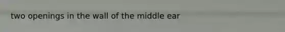 two openings in the wall of the middle ear