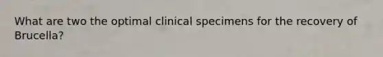 What are two the optimal clinical specimens for the recovery of Brucella?