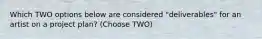 Which TWO options below are considered "deliverables" for an artist on a project plan? (Choose TWO)