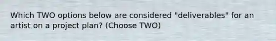 Which TWO options below are considered "deliverables" for an artist on a project plan? (Choose TWO)