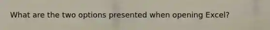 What are the two options presented when opening Excel?