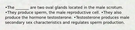 •The _______ are two oval glands located in the male scrotum. •They produce sperm, the male reproductive cell. •They also produce the hormone testosterone. •Testosterone produces male secondary sex characteristics and regulates sperm production.