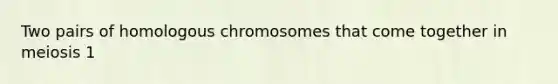 Two pairs of homologous chromosomes that come together in meiosis 1