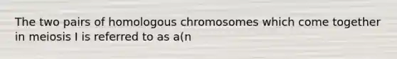 The two pairs of homologous chromosomes which come together in meiosis I is referred to as a(n