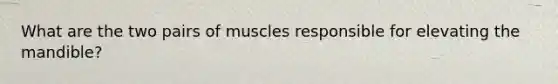 What are the two pairs of muscles responsible for elevating the mandible?