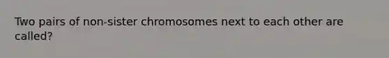 Two pairs of non-sister chromosomes next to each other are called?