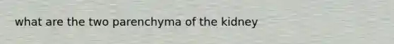 what are the two parenchyma of the kidney