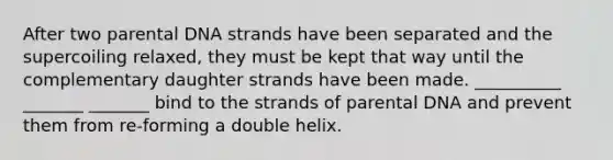 After two parental DNA strands have been separated and the supercoiling relaxed, they must be kept that way until the complementary daughter strands have been made. __________ _______ _______ bind to the strands of parental DNA and prevent them from re-forming a double helix.