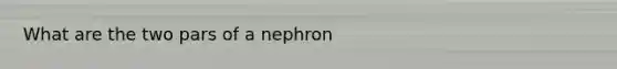 What are the two pars of a nephron