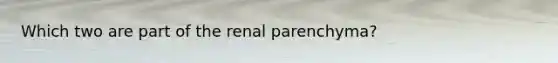 Which two are part of the renal parenchyma?