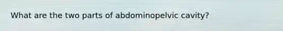 What are the two parts of abdominopelvic cavity?
