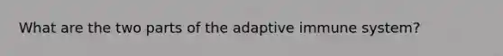 What are the two parts of the adaptive immune system?