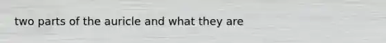 two parts of the auricle and what they are
