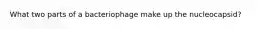 What two parts of a bacteriophage make up the nucleocapsid?