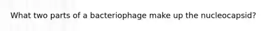 What two parts of a bacteriophage make up the nucleocapsid?