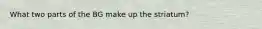 What two parts of the BG make up the striatum?