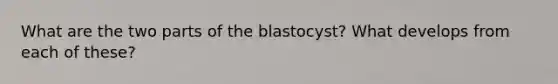 What are the two parts of the blastocyst? What develops from each of these?