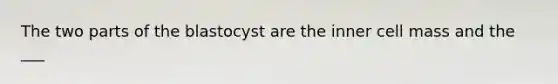 The two parts of the blastocyst are the inner cell mass and the ___