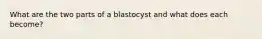 What are the two parts of a blastocyst and what does each become?