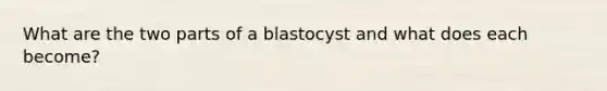 What are the two parts of a blastocyst and what does each become?