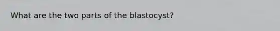 What are the two parts of the blastocyst?