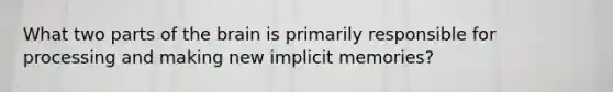 What two parts of the brain is primarily responsible for processing and making new implicit memories?