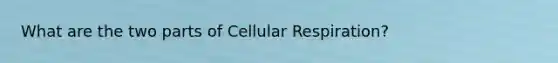 What are the two parts of Cellular Respiration?